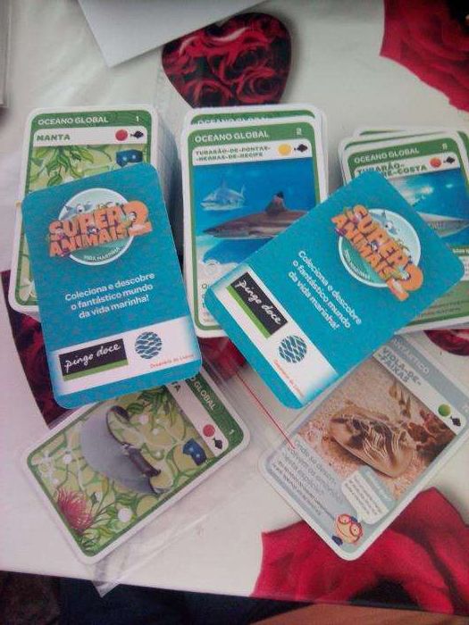 Super Animais 2 - Coleção Pingo Doce