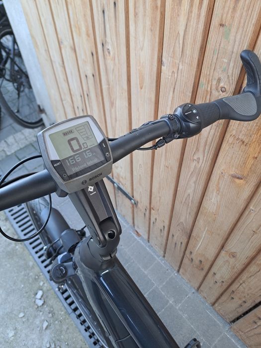 Rower Elektryczny DIAMANT ONYX + Bosch Active Line Plus męski trekking