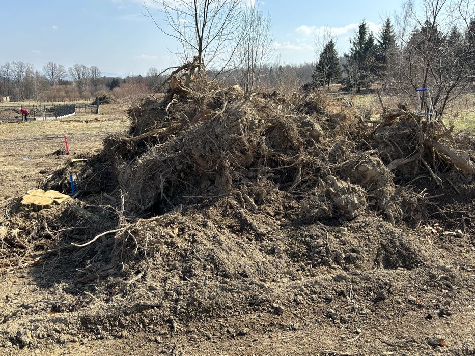 ODDAM korzenie drzew do zasypania dziury