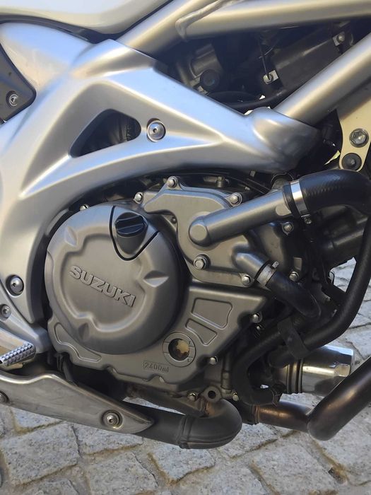 Mota Suzuki Gladius SFV