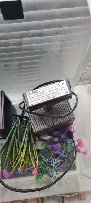 aquarium fluval chi аквариум флувал чи 24 л +прикалухи в комплекте. Мини аквариум с фильтром и светом бу дизайн дзен, декорации грот туф рыбк