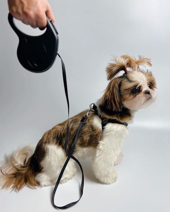 Поводок (релетка) для собак.