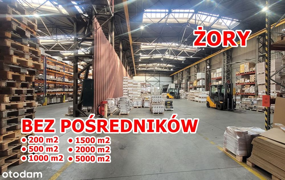 MAGAZYNY DO WYNAJĘCIA – Żory (Rój) | 200–5000 m² | 24/7 | blisko A1