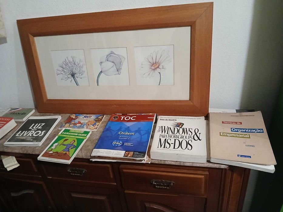 LIVROS vários, estudo, infantis