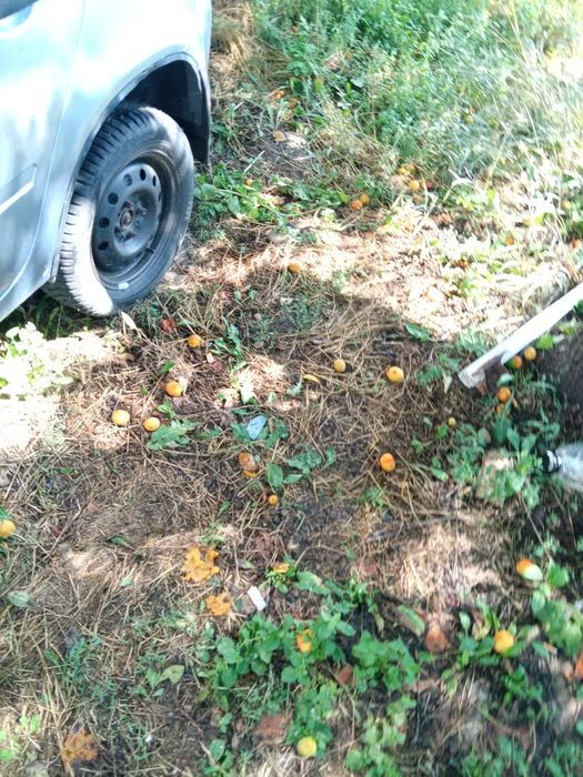 лада калина 1118 2012года
