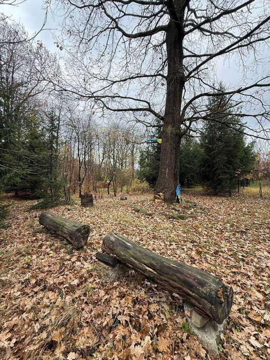 Продаж дачного будинку в лісі