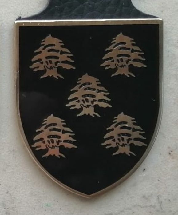 Cracha Militar Engenharia 5
