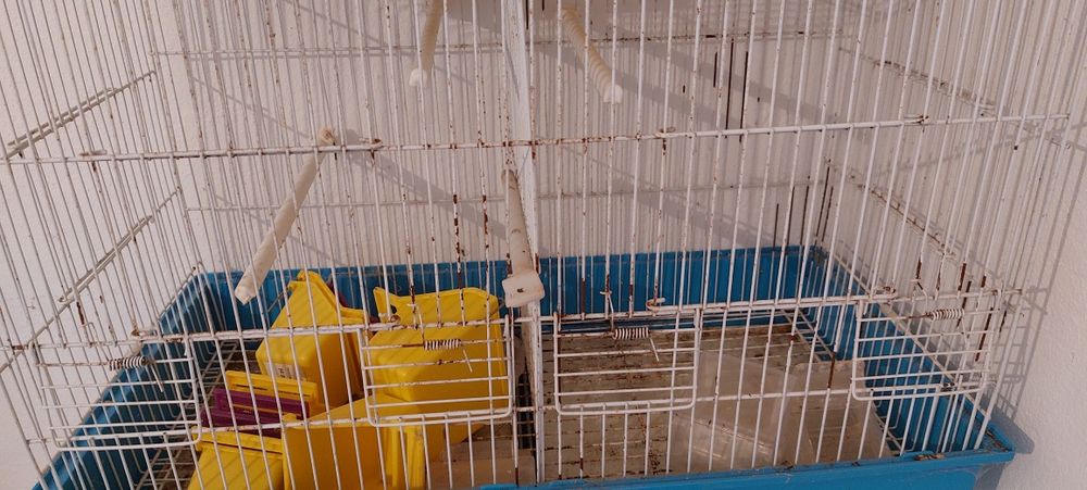 Gaiolas usadas - com separador