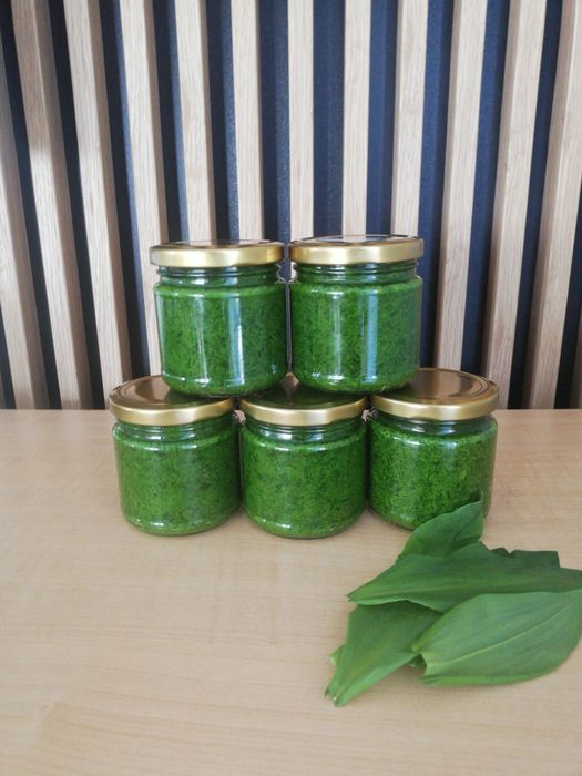 Pesto z czosnku niedźwiedziem 2026r