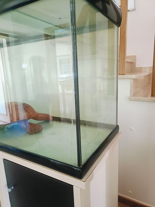 Aquário 148cm 460L + Móvel 1,55m + Filtro Fluval FX6 - 375€ Não Negociável - Sintra
