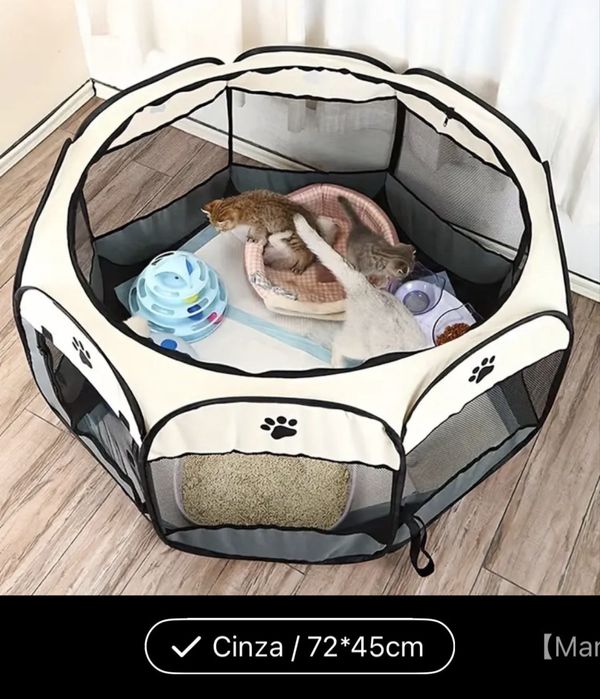 Parque Animais Estimação