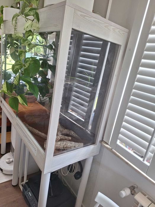 Terrarium dla legwana, agamy, kameleona.