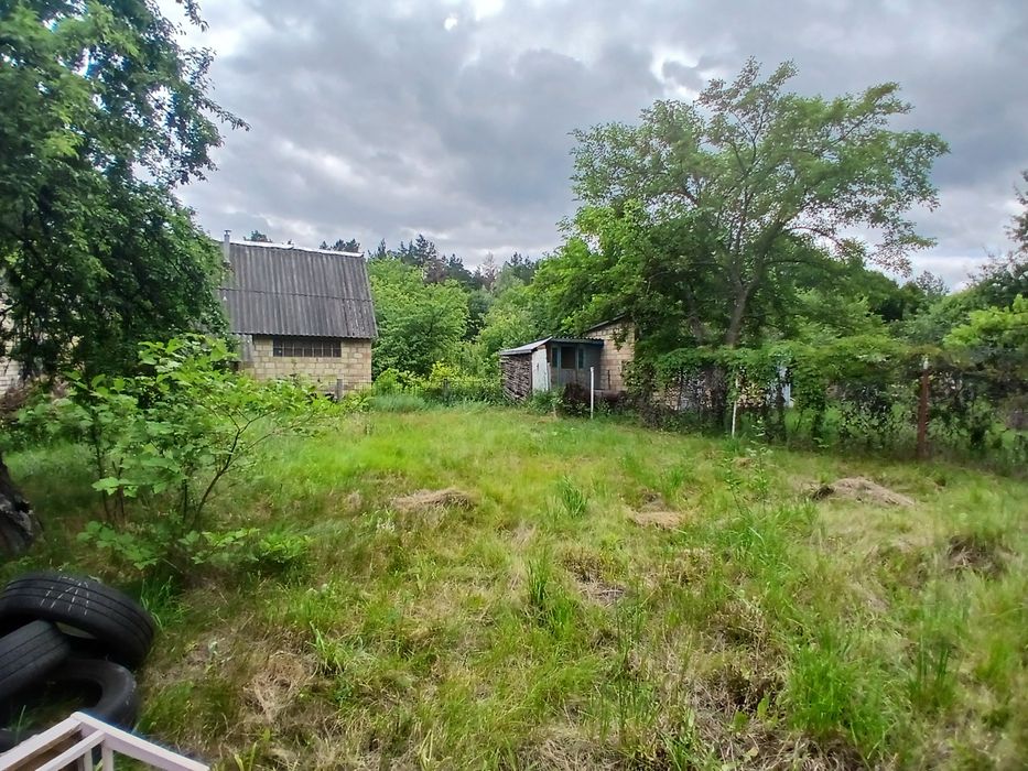 Дача біля озера серед природи