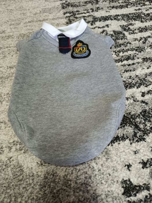 Речі  і амуніція для песика