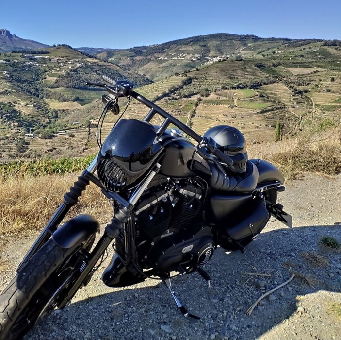 Harley-Davidson Sportster Iron 883 (2017)
