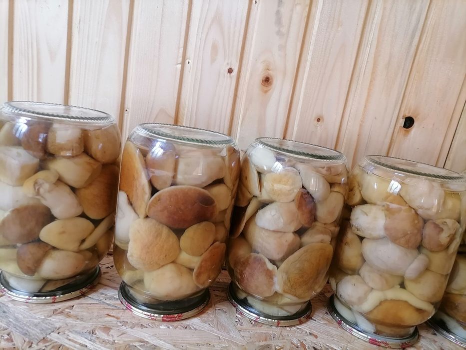 Білі грибочки 2025!!! Мариновані опеньки, сироїжки, лисички…