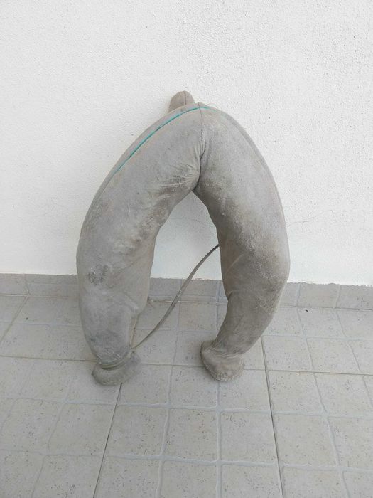 Burnil. Arreio para traçao animal. Decoraçao