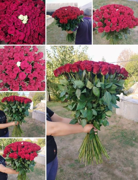 Роза ,цветы букеты опт розница