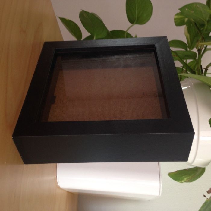 Square Frames429088574056714242