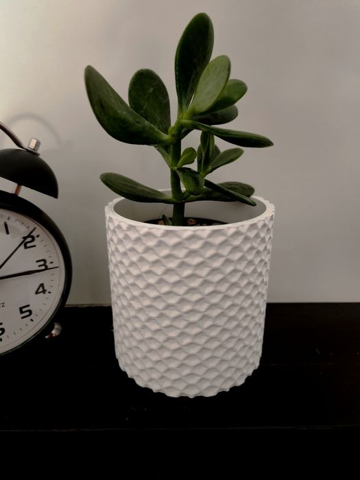 Vaso Branco com Textura Geométrica