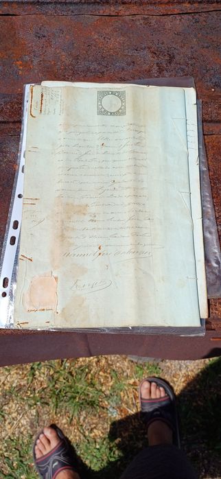 Carta de Sentença Século 19 Rei  D. Luiz Primeiro
