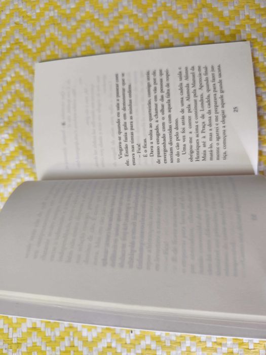 CÃO COMO NÓS
de Manuel Alegre