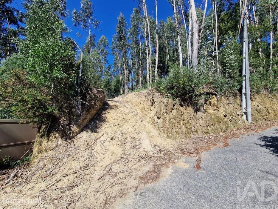 Terreno para construção em Nogueira, Meixedo e Vilar de Murteda de 291