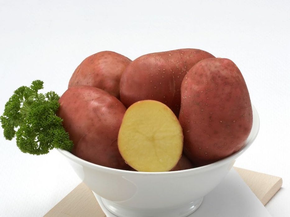 Batatas Bellarosa