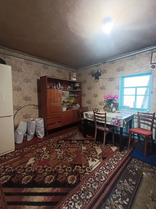House in Auly, Kam'yanskyy rayon - View 5