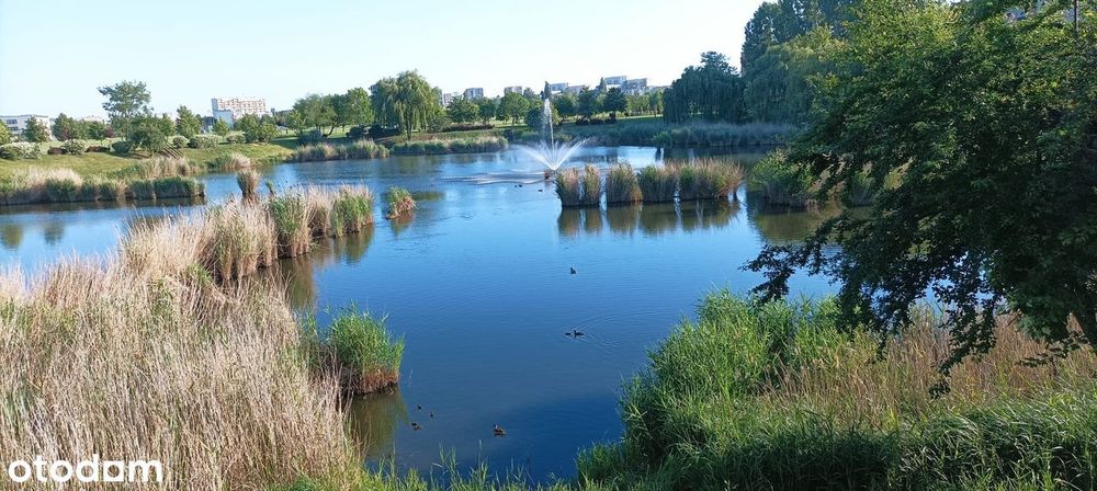 Jasne, przestronne mieszkanie 65,67 m² z widokiem na staw i zieleń