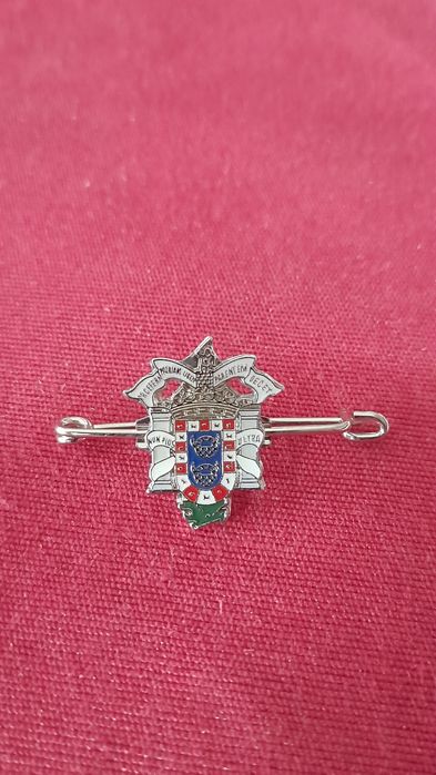 Alfinete Lapela e Distintivos (Lote 5)