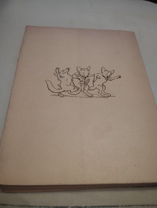 Livro Infantil Romance da Raposa Vintage