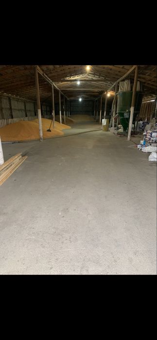 Ферма свиноферма вівчарня