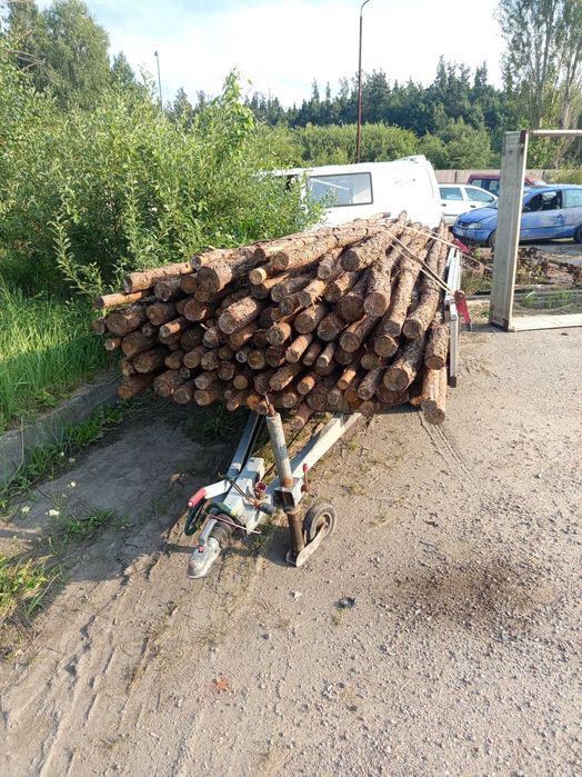 Słupki żerdzie podpory drewno opal