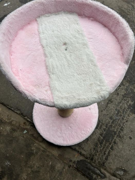 Когтеточка для котов