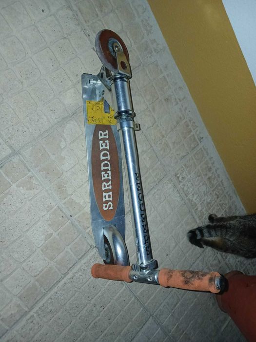 Trotineta de criança/adulto
