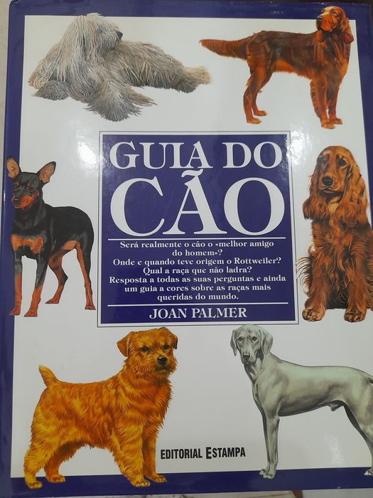 Literatura portuguesa e internacional