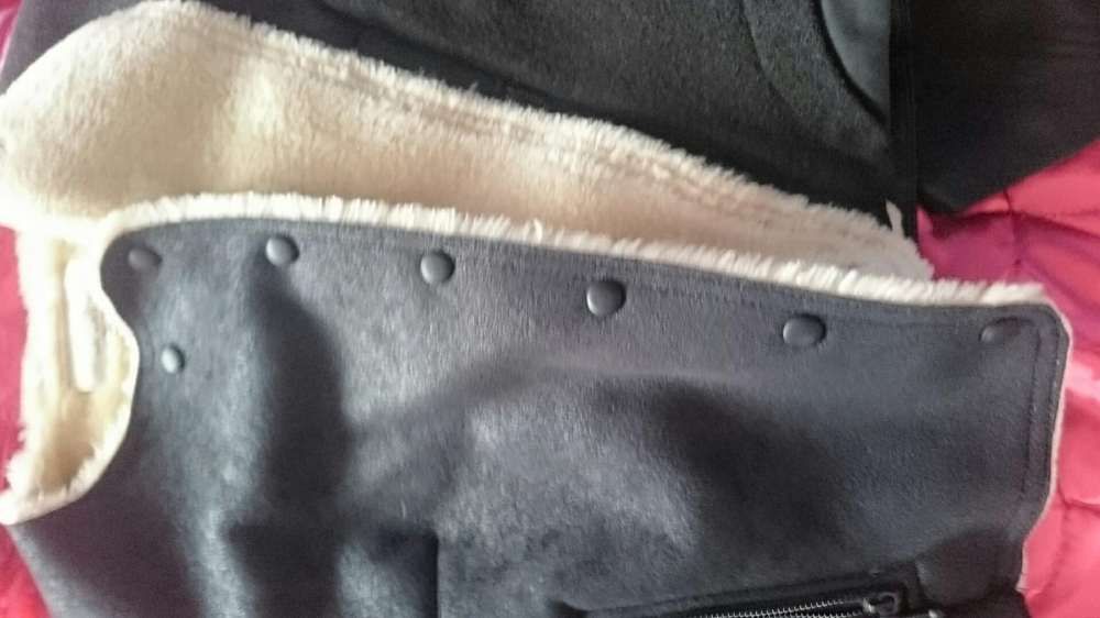 Zara super kurtka z misiem
