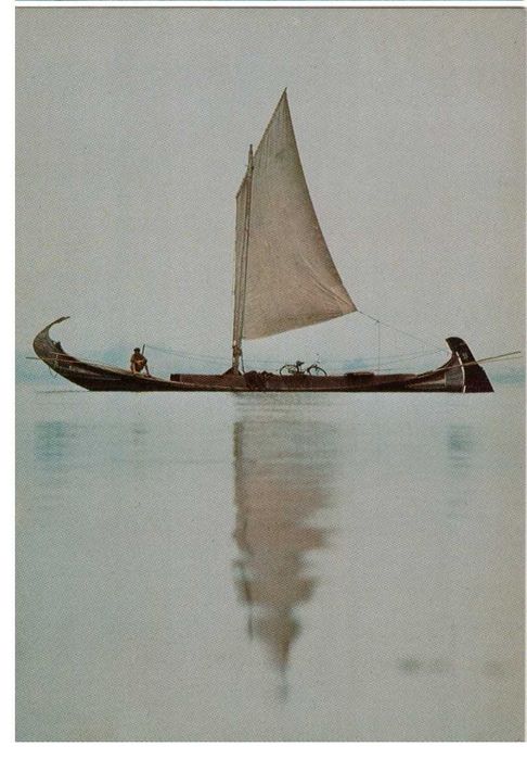 Postais de: Egito, Geres, Museu Calouste Gulbenkian, Aveiro, Pássaros