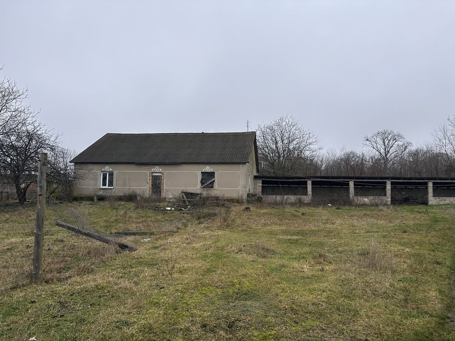 Приміщення , ангари , оренда , ферми,продаж , Село пятка