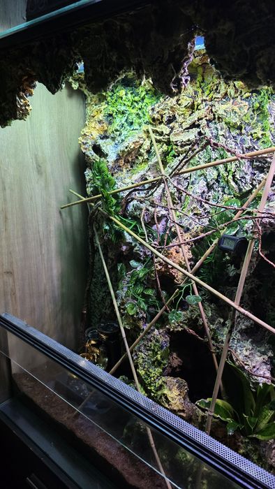 Terrarium dla gekona kameleona jaszczurki agamy terra wodospad