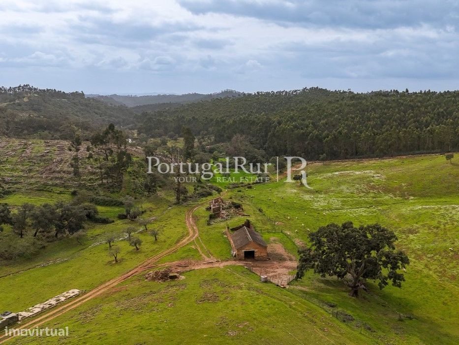 Herdade com 154 hectares em Odemira