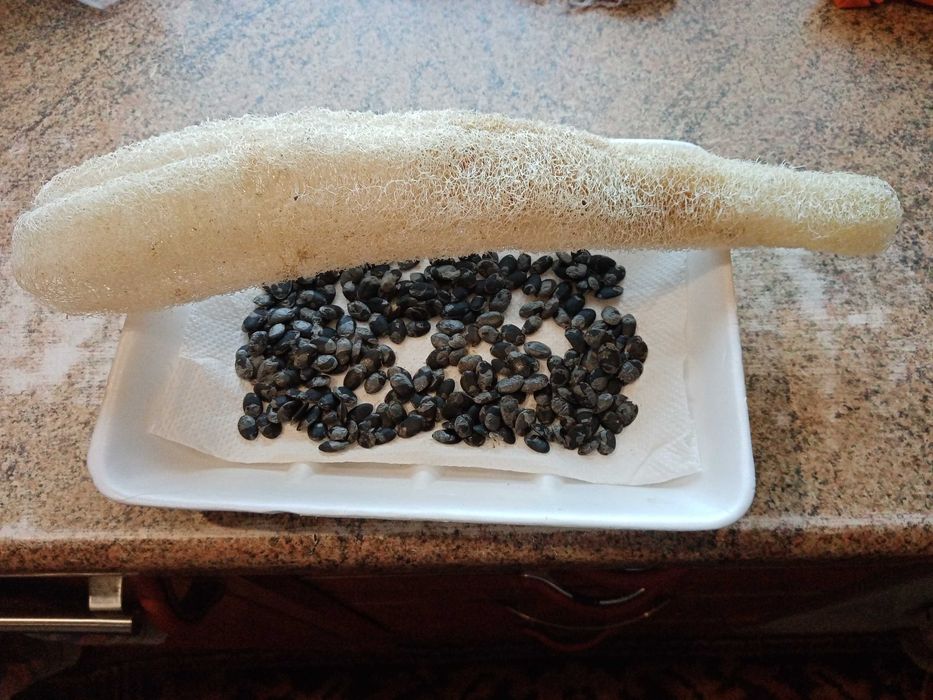 Продам сімейна люфи