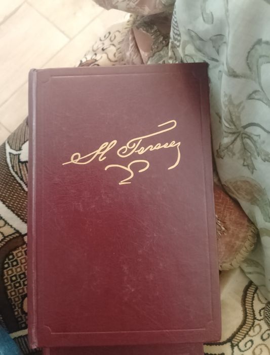 Н.В.Гоголь Том первый