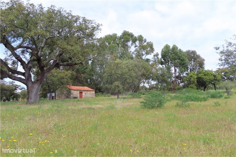 Quinta T0 para venda — Aldeia Do Bispo, Águas E Aldeia De João Pires, Castelo Branco