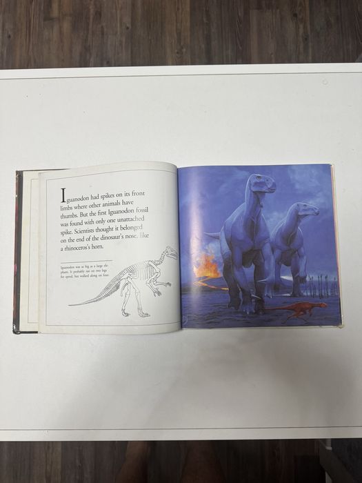 Книга про динозавров