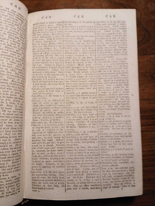 António Vieira, A Dictionary of the Portuguese and English Languages