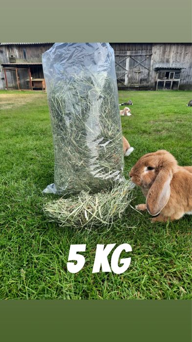 Świeże Sianko z Pierwszego Pokosu – Prosto z Naturalnej Łąki! 5 KG