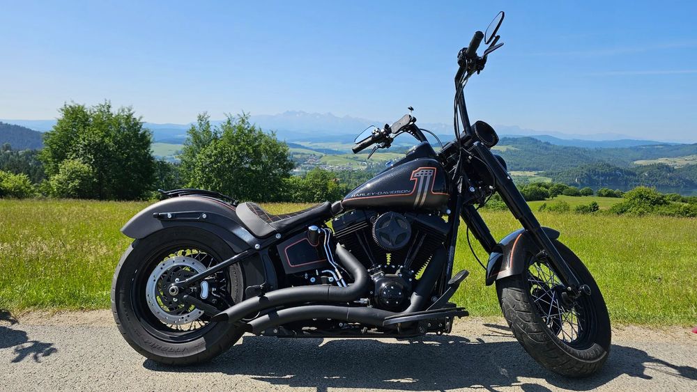 Harley-Davidson Softail Slim Harley Davidson Softail Slim FLS, 2014 r.