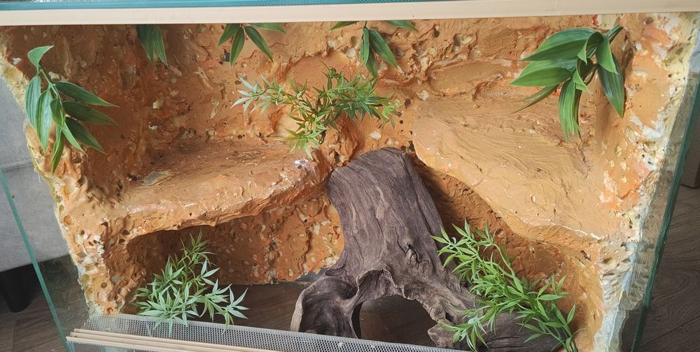 Terrarium 60/50/30 cm